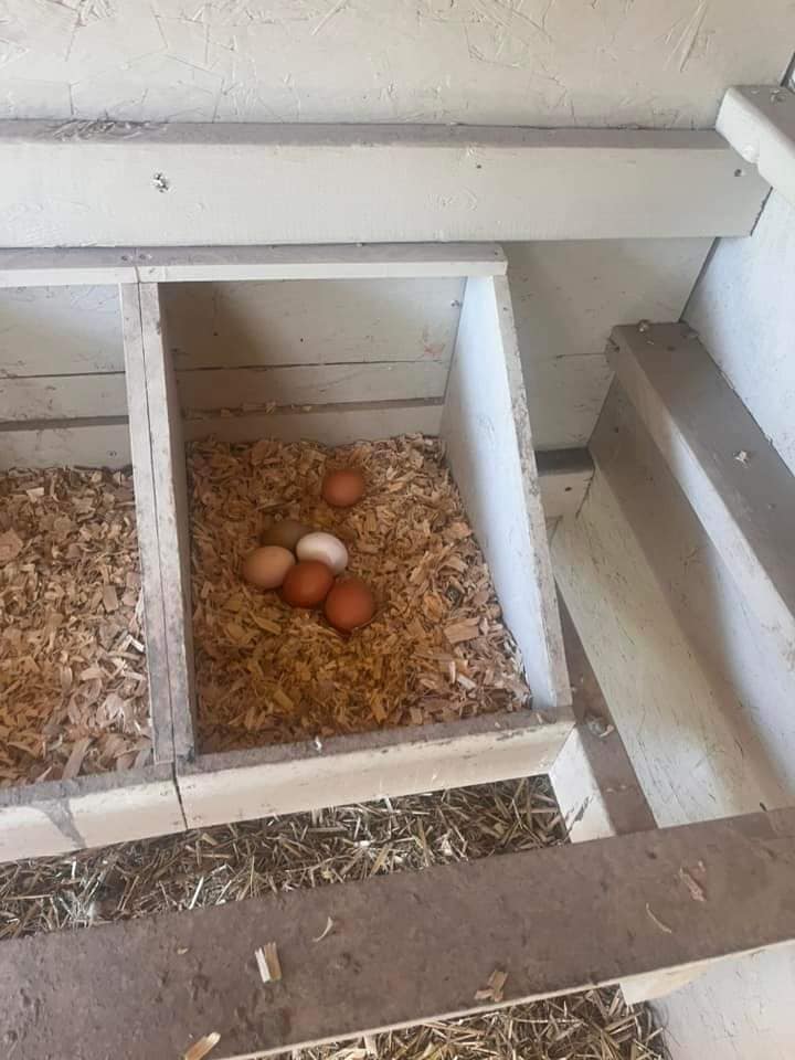 The Art of Starting from&nbsp;Scratch